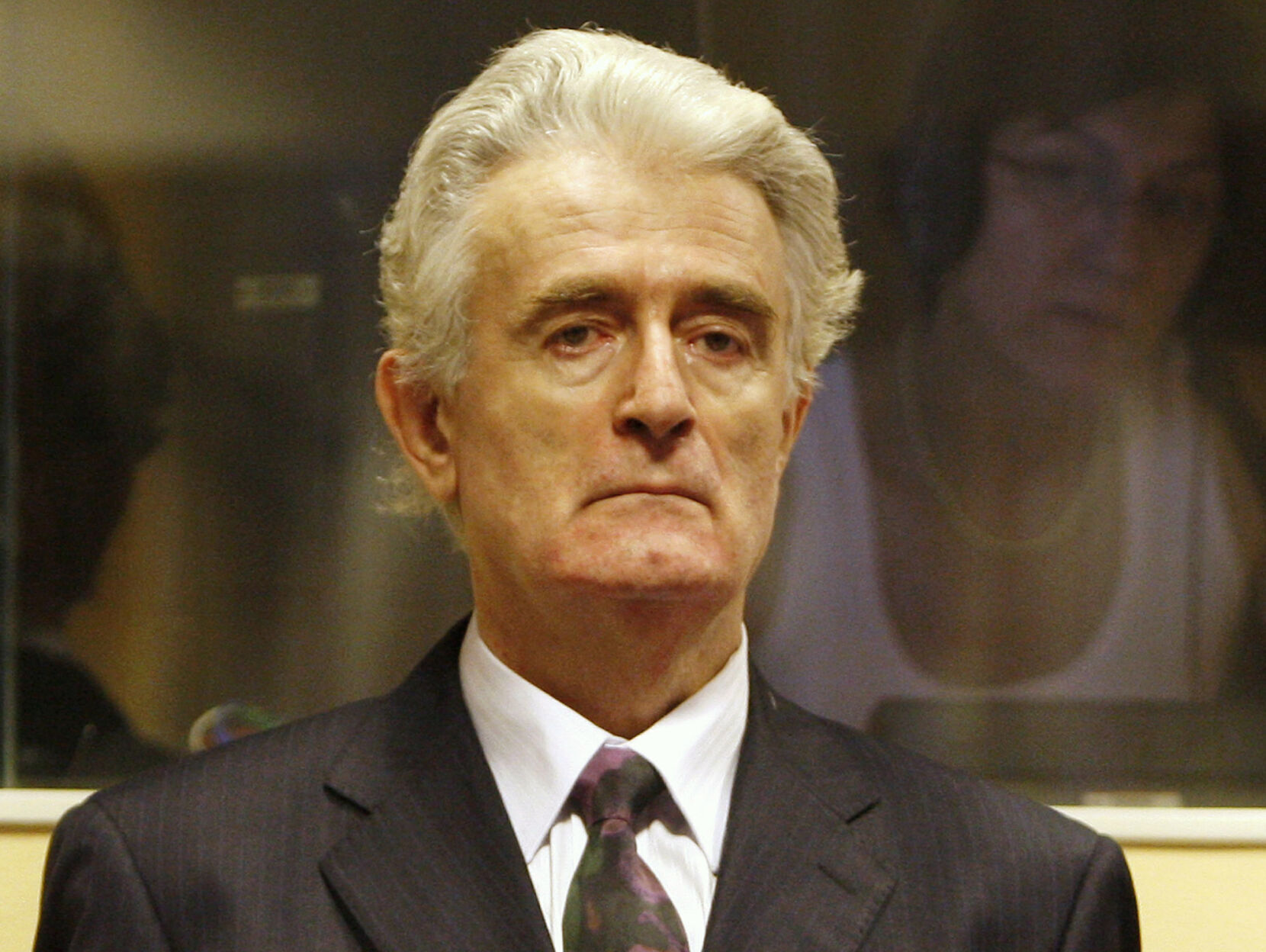 2008: Radovan Karadzic